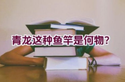青龙这种鱼竿是何物？