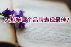 大炮竿哪个品牌表现最佳？