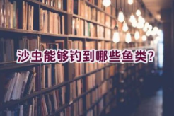 沙虫能够钓到哪些鱼类？